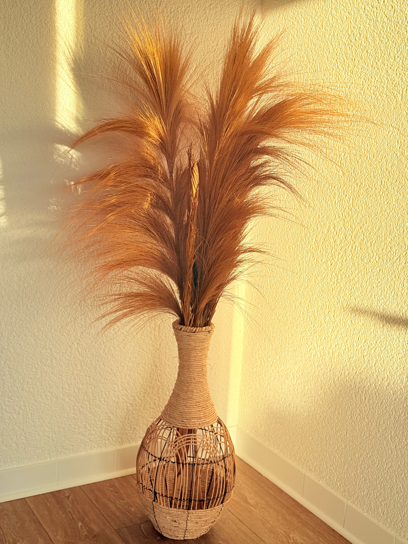 Image_, Maison, Préfailles, ref :887