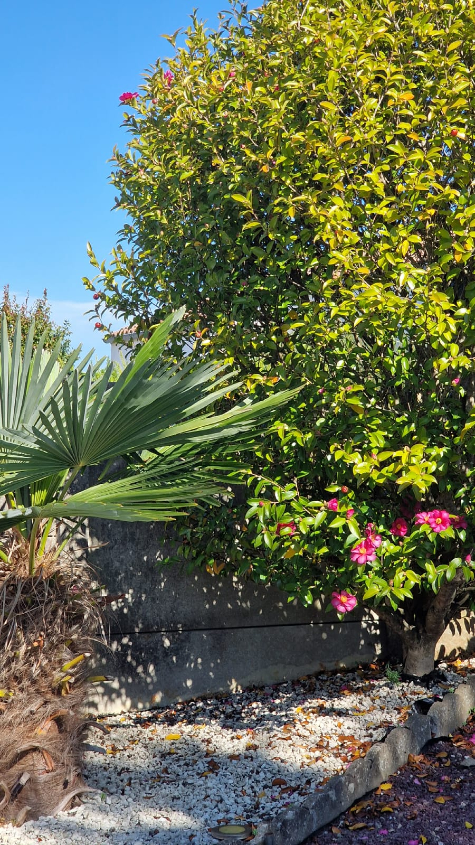 Image_, Maison, Saint-Michel-Chef-Chef, ref :MAIS 04170